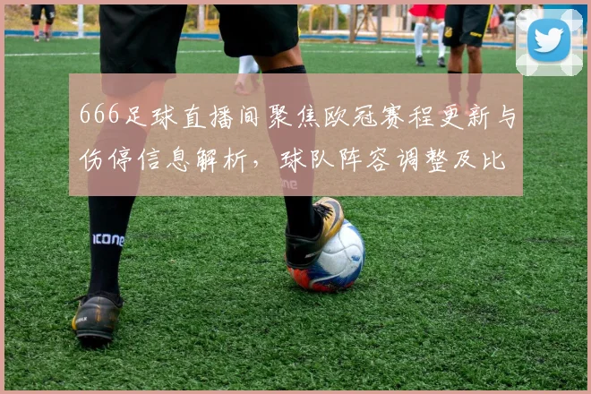 666足球直播间聚焦欧冠赛程更新与伤停信息解析，球队阵容调整及比赛看点