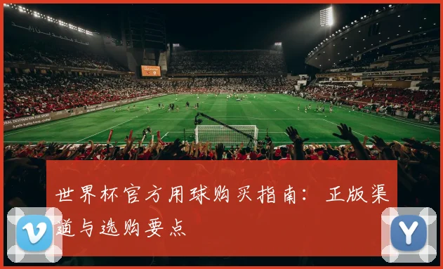 世界杯官方用球购买指南：正版渠道与选购要点