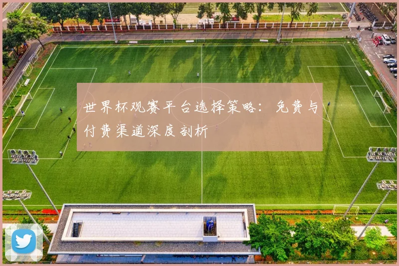 世界杯观赛平台选择策略：免费与付费渠道深度剖析