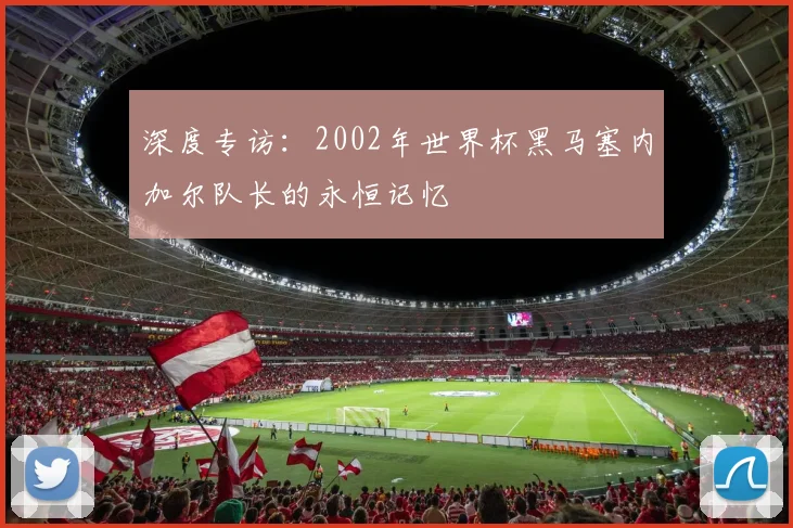深度专访：2002年世界杯黑马塞内加尔队长的永恒记忆