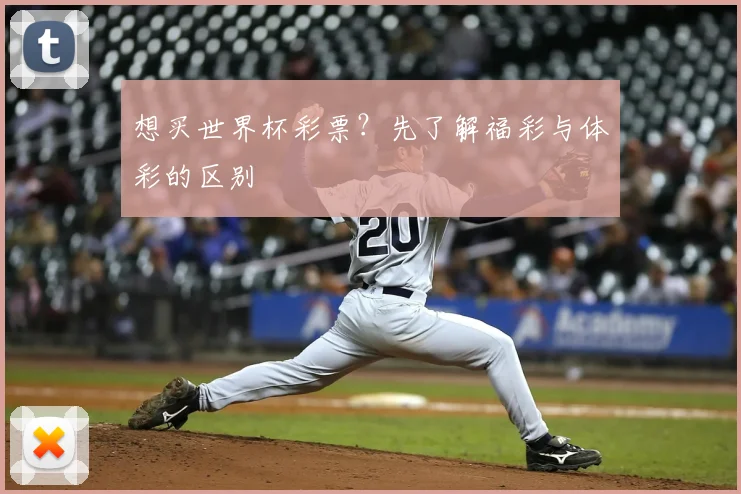 想买世界杯彩票？先了解福彩与体彩的区别