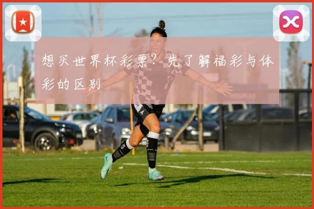 想买世界杯彩票？先了解福彩与体彩的区别