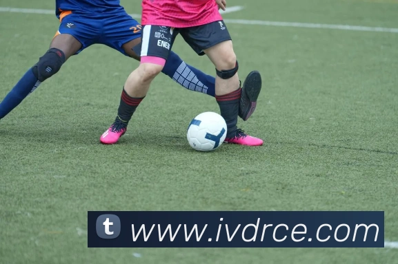 体育娱乐十大平台服务体系